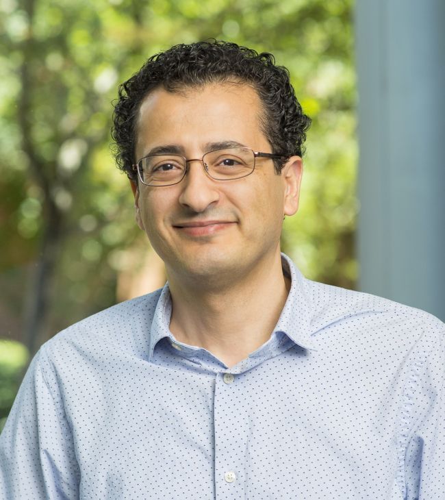 Mamoun Alhamadsheh