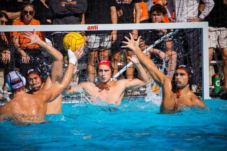 men's water polo