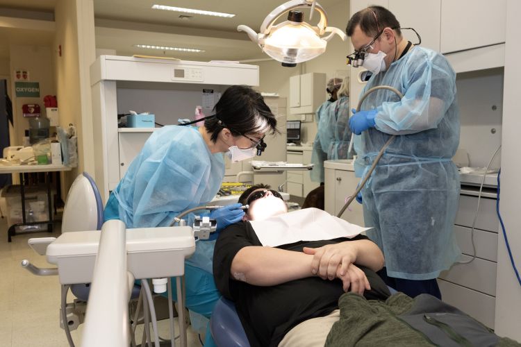 dentists work on a patient