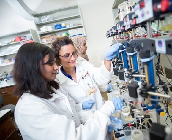 Roshanak Rahimian in lab with Pharmaceutical and Chemical Sciences Program graduate student