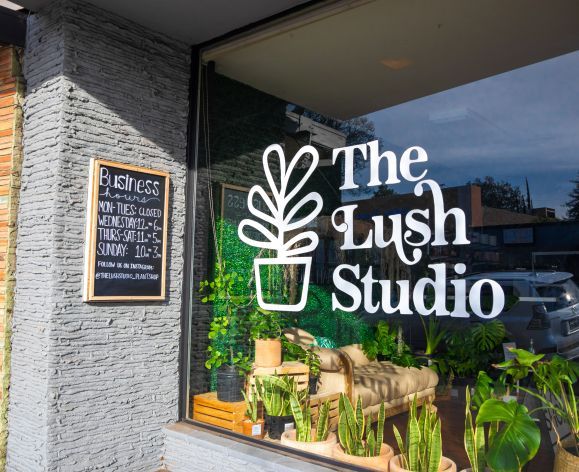 Lush Studio