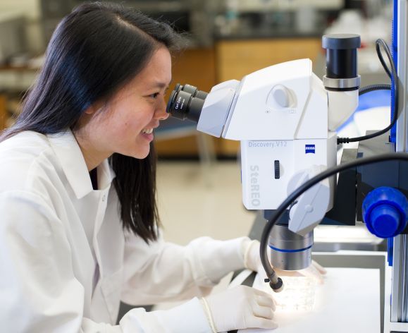 Student at microscope