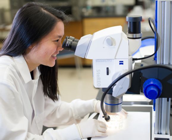 Scientist working in a lab at the University of the Pacific