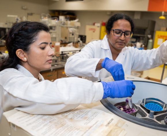 Two graudate students conducting research